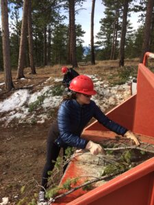 Choose the Right Wood Chipper for a Small Property Image